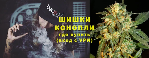 spice Аркадак