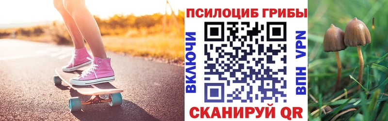 купить наркоту  Темрюк  Псилоцибиновые грибы Cubensis 