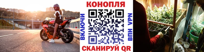 omg ССЫЛКА  Темрюк  это состав  Бошки Шишки планчик 